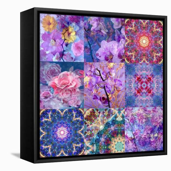 Collage from Flower Montages-Alaya Gadeh-Framed Stretched Canvas