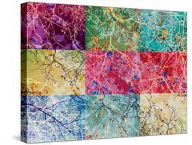 Collage from Layered Photographs from Trees in Multicolor-Alaya Gadeh-Stretched Canvas