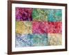 Collage from Layered Photographs from Trees in Multicolor-Alaya Gadeh-Framed Photographic Print