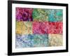Collage from Layered Photographs from Trees in Multicolor-Alaya Gadeh-Framed Photographic Print