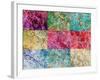 Collage from Layered Photographs from Trees in Multicolor-Alaya Gadeh-Framed Photographic Print