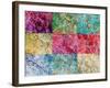 Collage from Layered Photographs from Trees in Multicolor-Alaya Gadeh-Framed Photographic Print