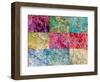 Collage from Layered Photographs from Trees in Multicolor-Alaya Gadeh-Framed Photographic Print