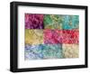 Collage from Layered Photographs from Trees in Multicolor-Alaya Gadeh-Framed Photographic Print