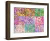 Collage from Layered Trees in Multicolor-Alaya Gadeh-Framed Photographic Print