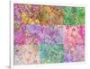 Collage from Layered Trees in Multicolor-Alaya Gadeh-Framed Photographic Print