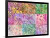 Collage from Layered Trees in Multicolor-Alaya Gadeh-Framed Photographic Print