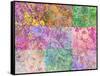 Collage from Layered Trees in Multicolor-Alaya Gadeh-Framed Stretched Canvas