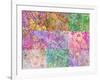 Collage from Layered Trees in Multicolor-Alaya Gadeh-Framed Photographic Print