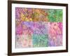 Collage from Layered Trees in Multicolor-Alaya Gadeh-Framed Photographic Print