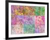 Collage from Layered Trees in Multicolor-Alaya Gadeh-Framed Photographic Print