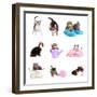 Collage from Several Cats Isolated on White-Yastremska-Framed Photographic Print