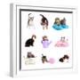 Collage from Several Cats Isolated on White-Yastremska-Framed Photographic Print
