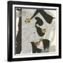 Collage I-Chris Paschke-Framed Art Print