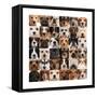 Collage Of 36 Dog Heads-Life on White-Framed Stretched Canvas
