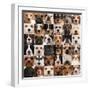 Collage Of 36 Dog Heads-Life on White-Framed Premium Giclee Print