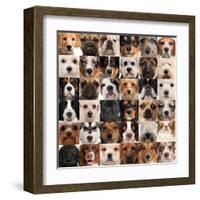 Collage Of 36 Dog Heads-Life on White-Framed Art Print