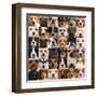 Collage Of 36 Dog Heads-Life on White-Framed Art Print