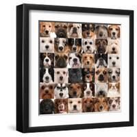 Collage Of 36 Dog Heads-Life on White-Framed Art Print