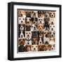 Collage Of 36 Dog Heads-Life on White-Framed Art Print