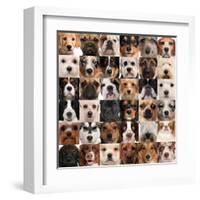 Collage Of 36 Dog Heads-Life on White-Framed Art Print