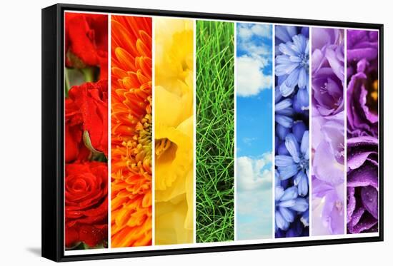 Collage of Beautiful Flowers, Grass and Sky-Yastremska-Framed Stretched Canvas
