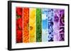 Collage of Beautiful Flowers, Grass and Sky-Yastremska-Framed Photographic Print