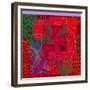 COLLAGE OF COLOR-Linda Arthurs-Framed Giclee Print