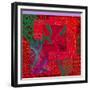 COLLAGE OF COLOR-Linda Arthurs-Framed Giclee Print