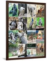 Collage Of Different Animals-LeniKovaleva-Framed Art Print