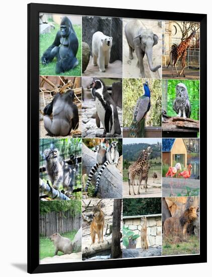 Collage Of Different Animals-LeniKovaleva-Framed Art Print