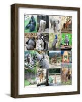 Collage Of Different Animals-LeniKovaleva-Framed Art Print