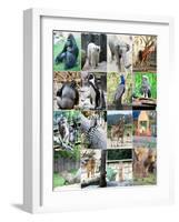 Collage Of Different Animals-LeniKovaleva-Framed Art Print