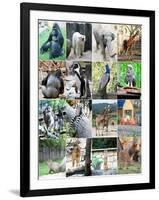 Collage Of Different Animals-LeniKovaleva-Framed Art Print