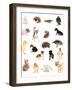 Collage of Different Cute Animals-Yastremska-Framed Photographic Print