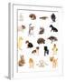 Collage of Different Cute Animals-Yastremska-Framed Photographic Print