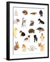 Collage of Different Cute Animals-Yastremska-Framed Photographic Print