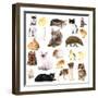 Collage of Different Pets Isolated on White-Yastremska-Framed Photographic Print