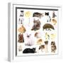 Collage of Different Pets Isolated on White-Yastremska-Framed Photographic Print