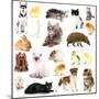 Collage of Different Pets Isolated on White-Yastremska-Mounted Photographic Print