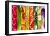 Collage of Flowers in Stripes-YellowPaul-Framed Art Print
