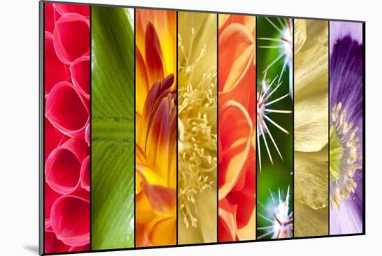 Collage of Flowers in Stripes-YellowPaul-Mounted Art Print