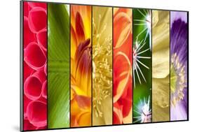 Collage of Flowers in Stripes-YellowPaul-Mounted Art Print