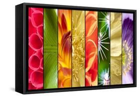 Collage of Flowers in Stripes-YellowPaul-Framed Stretched Canvas