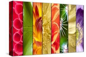 Collage of Flowers in Stripes-YellowPaul-Stretched Canvas