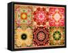 Collage of Flowers Mandalas, Composing-Alaya Gadeh-Framed Stretched Canvas