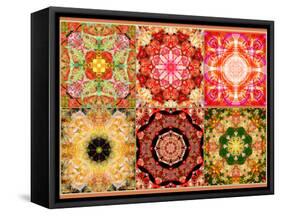 Collage of Flowers Mandalas, Composing-Alaya Gadeh-Framed Stretched Canvas