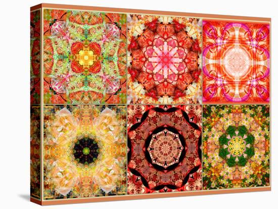 Collage of Flowers Mandalas, Composing-Alaya Gadeh-Stretched Canvas