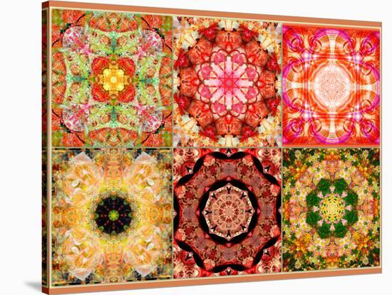 Collage of Flowers Mandalas, Composing-Alaya Gadeh-Stretched Canvas