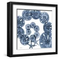 Collage of Sand Dollars and Starfish-Albert Koetsier-Framed Art Print